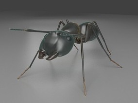 蚂蚁  3d模型