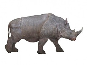 犀牛 3d模型