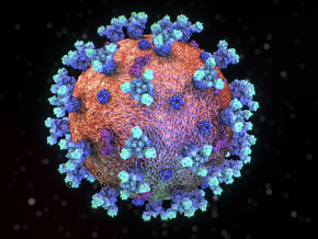 防疫 疫情 新冠病毒 病菌 细菌 细胞 微生物 病原体 毒素粒子 真菌 3d模型