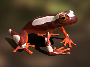 【带动画】写实青蛙 牛蛙 树蛙 蛤蟆 红皮蛙 两栖动物 3d模型