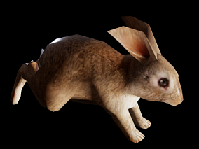 兔子 灰兔子 3d模型