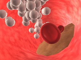 血管内红细胞白细胞工作动画
