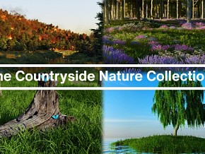 乡村自然风景合集、风景、树、草、植被、木桩、苔藓、岩石、天空、木头