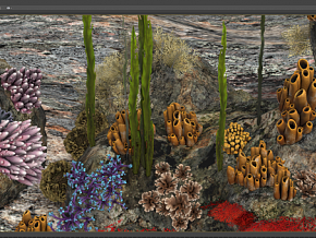 次世代珊瑚海草 海底植物花草 奇异植物