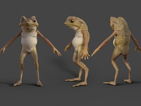 青蛙怪 青蛙王子 青蛙怪物 游戏角色 次时代模型