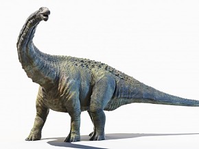雷龙 恐龙 蜥脚类 梁龙总科 巨型 怪物 生物 蜥蜴 远古生物 灭绝的动物 古生物