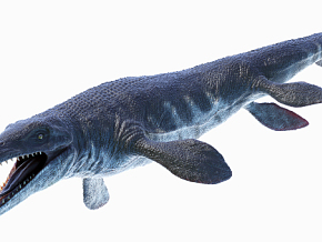 海王龙 节龙 瘤龙 恐龙 蜥脚类 巨型 怪物 生物 蜥蜴 远古生物 灭绝的动物 古生物