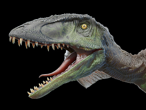 双型齿翼龙 翼龙 恐龙 蜥脚类 巨型 怪物 生物 蜥蜴 远古生物 灭绝的动物