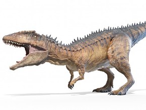 鲨齿龙 恐龙 望齿龙 噬齿龙 噬人鲨龙 鲨牙龙 蜥蜴 远古生物 灭绝的动物 古生物