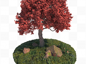 C4D模型 植物花草树木小场景