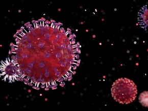 深红细胞 病菌细胞病毒 病毒 细胞 细菌 抗疫 疫情 医学模型 卡通广告元素