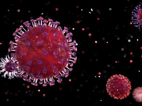 深红细胞 病菌细胞病毒 病毒 细胞 细菌 抗疫 疫情 医学模型 卡通广告元素