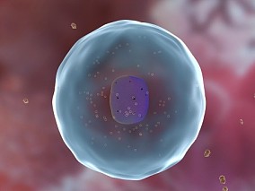 细胞 肝细胞 粒子颗粒进入细胞 肝细胞吸收药物动画