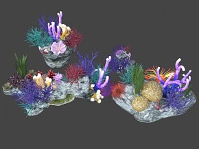 海洋珊瑚焦 海底珊瑚 焦石珊瑚 写实模型 高清贴图