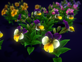 紫罗兰   三色紫罗兰   兰花     花 卡通花 卡通植物 兰花 游戏花 花卉 仿真花 多肉植物