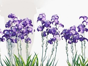 鲜花模型花卉模型紫花