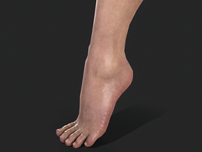 女人的脚 写实脚部模型 脚模特 人体 PBR材质 次世代
