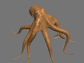 写实风格 水生物 章鱼