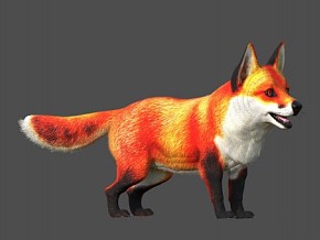 狐狸（有狐狸），红狐狸，白狐狸，北极狐 动物