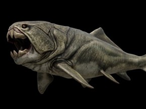 食人鱼 邓氏鱼 配置绑定 动画 史前 鱼 怪物 变异 灭绝 古老 生物