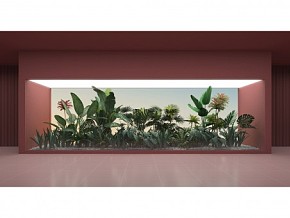 热带雨林植物堆 植物橱窗 形象墙 卵石 白色鹅卵石 芭蕉叶 龟背叶