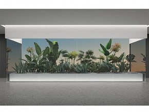 雨林植物堆 热带植物橱窗 形象墙 卵石 白色鹅卵石 芭蕉叶 龟背叶