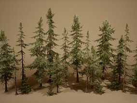 UE5 森林树木 云杉 写实植物 密林 小树 大树