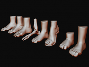 不同种类的脚 脚部雕刻 脚部模型 脚 人类脚 手办