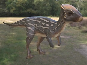 平头龙 晚白垩世 远古灭绝生物 恐龙