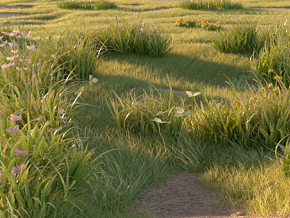 C4D草地真实场景 模拟真实草地 草坪