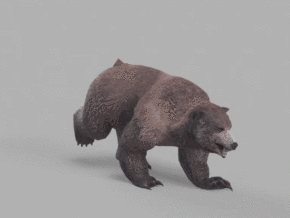 棕熊 全套动作 次时代狗熊  北极熊带多套皮肤贴图 走跑攻击死亡30秒骨骼动画