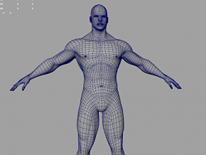 基础人体建模作业 标准布线男人体