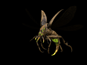 飞虫蚊子 寄生虫 血吸虫 飞虫 寄生生物 毒虫