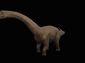 长颈龙 三叠纪 蜥脚类 恐龙 带绑定动画