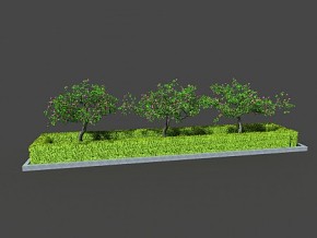 灌木 草丛 绿植 植物 树木