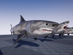 UE4/UE5 海洋生物 大白鲨 鲨鱼