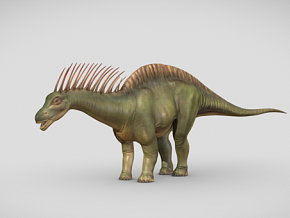 恐龙 阿马加龙 霸王龙 写实恐龙 侏罗纪恐龙 暴龙  有贴图 龙 带绑定 远古生物 卡通 雷龙 飞龙