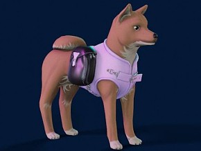 大黄狗 动物 柴犬 3D模型