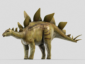 恐龙 霸王龙 写实恐龙 侏罗纪恐龙 暴龙 有贴图 龙 远古生物 卡通 雷龙 飞龙 侏罗纪 翼龙 恐龙
