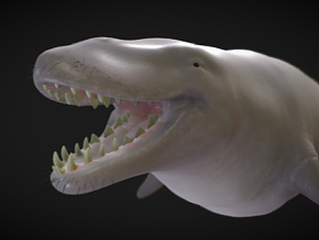 巴西洛龙 动物 史前鲸鱼 古生物