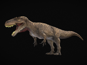 暴龙 恐龙 霸王龙 侏罗纪 食肉恐龙 怪物 巨龙 生物 侏罗纪恐龙 灭绝的动物 古生物 爬行动物 龙