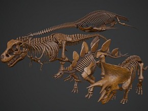 PBR 恐龙化石 雷龙 暴龙 迅猛龙 三角龙 翼龙 恐龙骨架