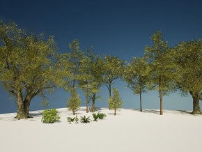 UE4/UE5 写实树木植物 松树 橡树