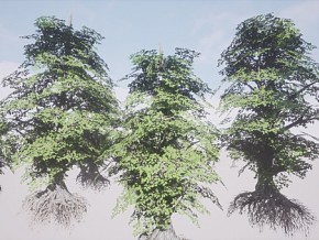 写实植物 沼泽树木 自然植物 树木 植物 UE4/UE5