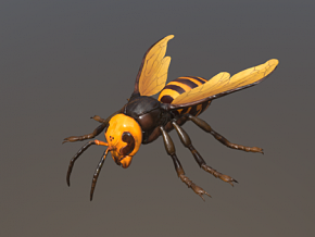 蜜蜂 黄蜂 昆虫 马蜂 小蜜蜂 卡通蜜蜂 写实蜜蜂 卡通 写实昆虫