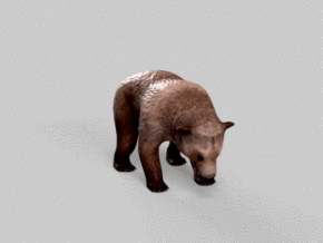 熊 四边面狗熊 30秒动画 带20多个动作 棕熊带法线贴图