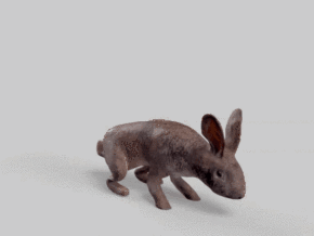 兔子 动物 野生动物 可爱 低模 带动作