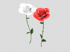 花 玫瑰花 鲜花 花草 小花 红玫瑰 白玫瑰 情人节 花朵 花卉