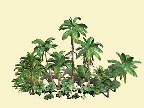 热带棕榈树 热带雨林 棕榈树 树林 原始森林 森林 热带植物 大树 椰子树 植物 树木