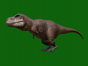 霸王龙 恐龙 暴龙 食肉龙 远古生物 灭绝的动物 古生物 巨型恐龙 侏罗纪 史前恐龙 蛮龙 巨兽龙